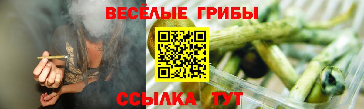 что такое   Вход с VPN  Горно-Алтайск  Псилоцибиновые грибы прущие грибы 
